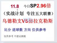 kaiyun·开云官网:柏林联队客场逆转成功，德甲排名逐渐上升